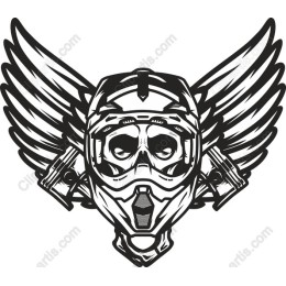 Wings of Rebellion