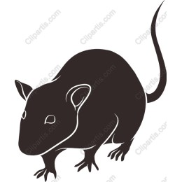 Cute Rodent