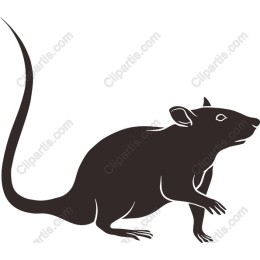 Stylized Rat