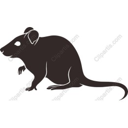 Charming Mouse