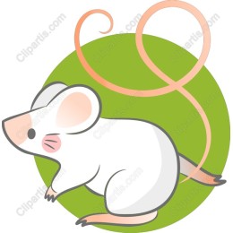 Adorable Playful Mouse