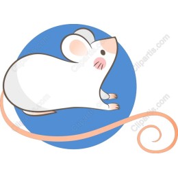 Adorable White Mouse