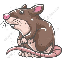 Playful Mole