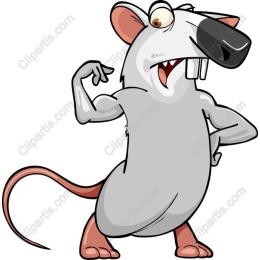 Playful Muscular Rat