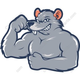 Muscular Rat