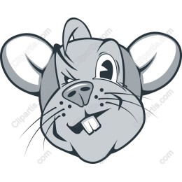 Playful Rodent