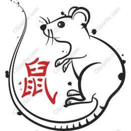 Charming Playful Rat