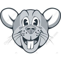 Cartoon Mouse Head