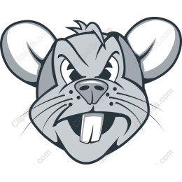 Cartoon Mouse Face