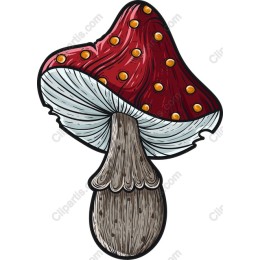 Vibrant Red Mushroom