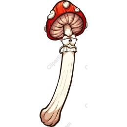 Whimsical Cartoon Mushroom