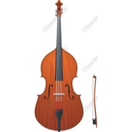 Elegant Cello