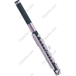 Elegant Flute