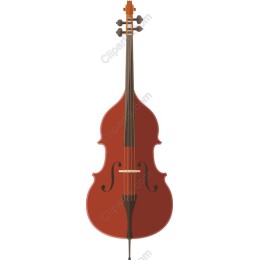 Double Bass