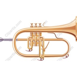 Elegant Tuba