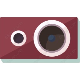 Vintage Camera
