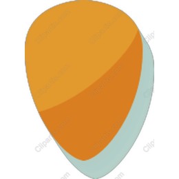 Premium Guitar Pick