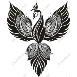 Black and White Ornate Peacock