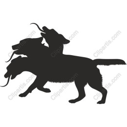 Dynamic Dog