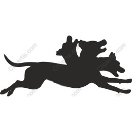 Playful Dogs