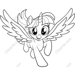Flying Unicorn