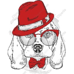 Dapper Dog