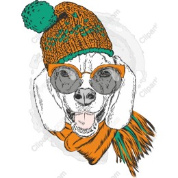 Stylish Dog with Sunglasses and Hat