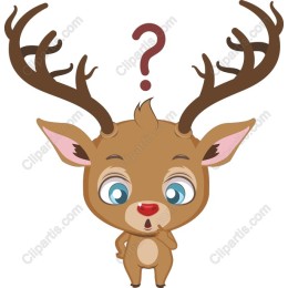 Curious Reindeer