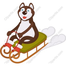 Playful Husky Dog Sledding