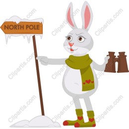 North Pole Explorer Bunny