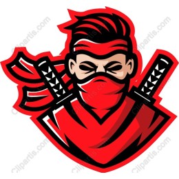 Ninja Warrior