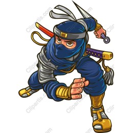 Dynamic Ninja