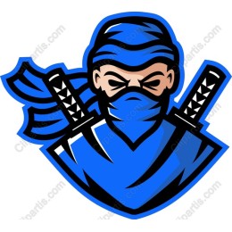Blue Ninja