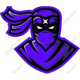 Purple Ninja