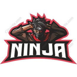 Dynamic Ninja