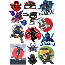 Ninja Set - 12 Unique