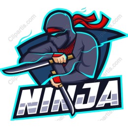 Ninja Dual Sword