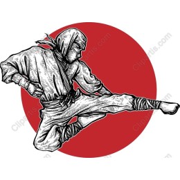 Dynamic Ninja Kick
