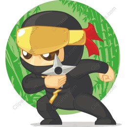 Ninja Action