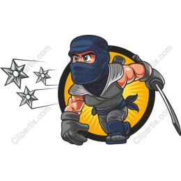 Ninja Warrior