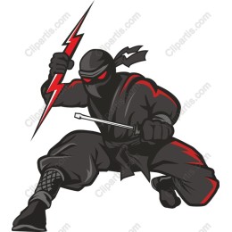 Fierce Ninja