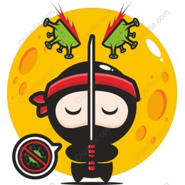 Ninja Virus Slayer