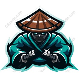 Ninja Warrior - Available