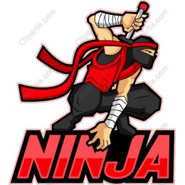 Dynamic Ninja