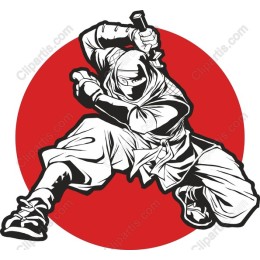 Ninja in Action