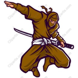 Dynamic Ninja Action