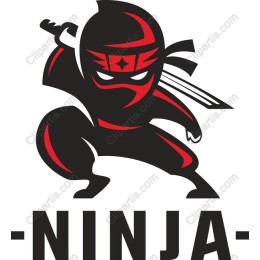 Ninja - Dynamic