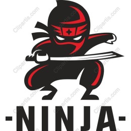 Ninja - Stealth and Action