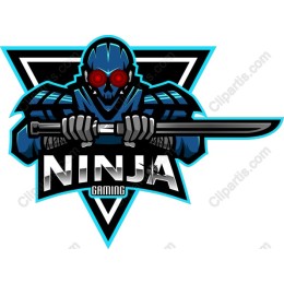 Futuristic Ninja Gaming