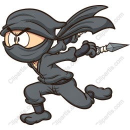 Ninja Character